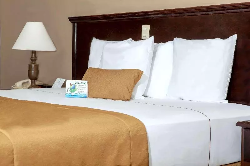 اتاق استاندارد با تخت بزرگ, Best Western Hotel Posada Del Rio Express