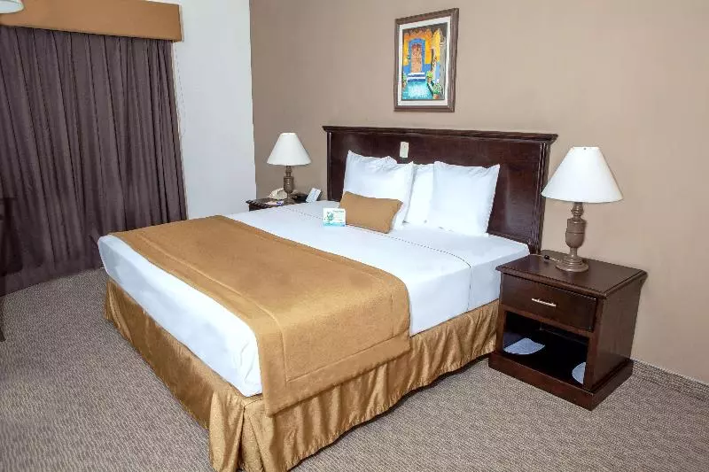 اتاق استاندارد با تخت بزرگ, Best Western Hotel Posada Del Rio Express