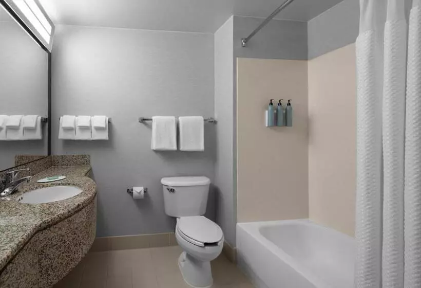 اتاق استاندارد با تخت بزرگ, Courtyard Los Angeles Burbank Airport