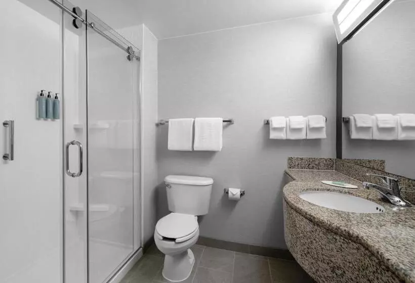 اتاق استاندارد با تخت بزرگ, Courtyard Los Angeles Burbank Airport