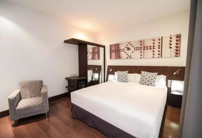 اتاق استاندارد, Petit Palace Marques Santa Ana