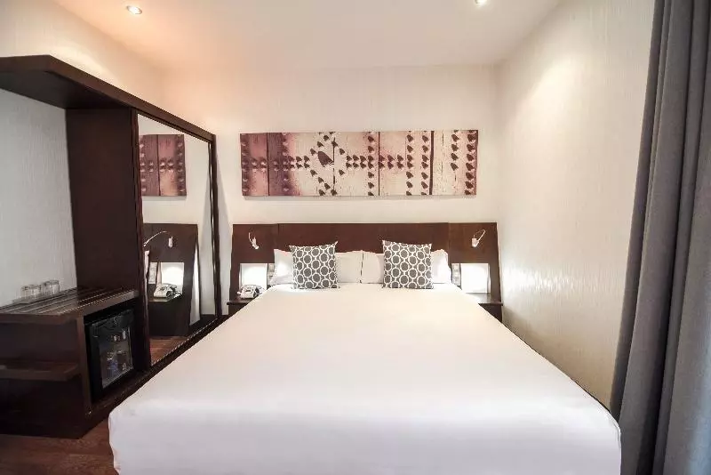 اتاق استاندارد, Petit Palace Marques Santa Ana