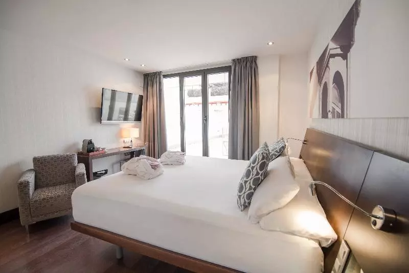 اتاق استاندارد, Petit Palace Marques Santa Ana