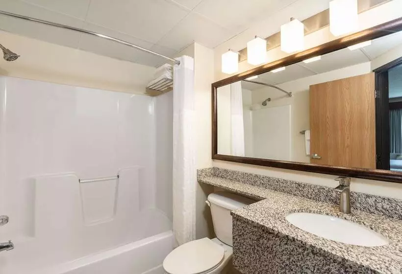 スイート, Surestay Plus Hotel By Best Western Litchfield