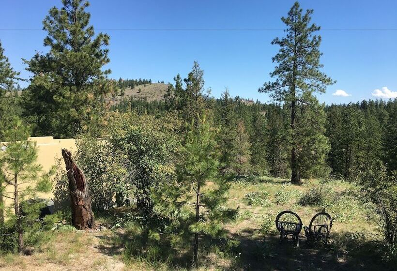 デラックススイート, Casa Colina