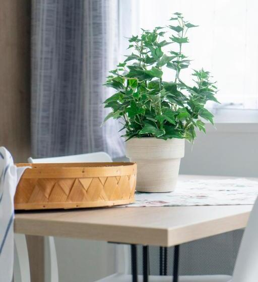 Семейный Номер Deluxe, Café Torpet B&b