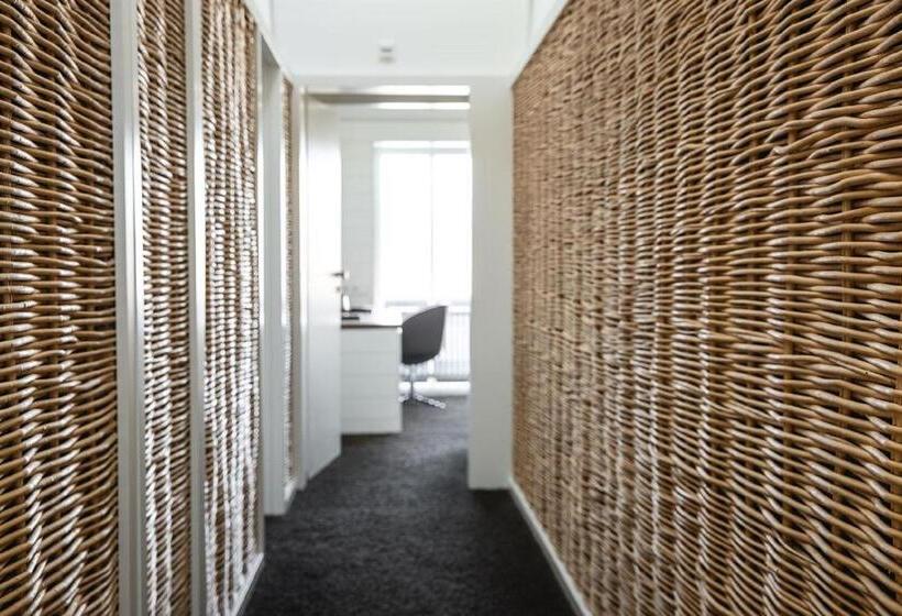 주니어 스위트, Meier Hilzhof