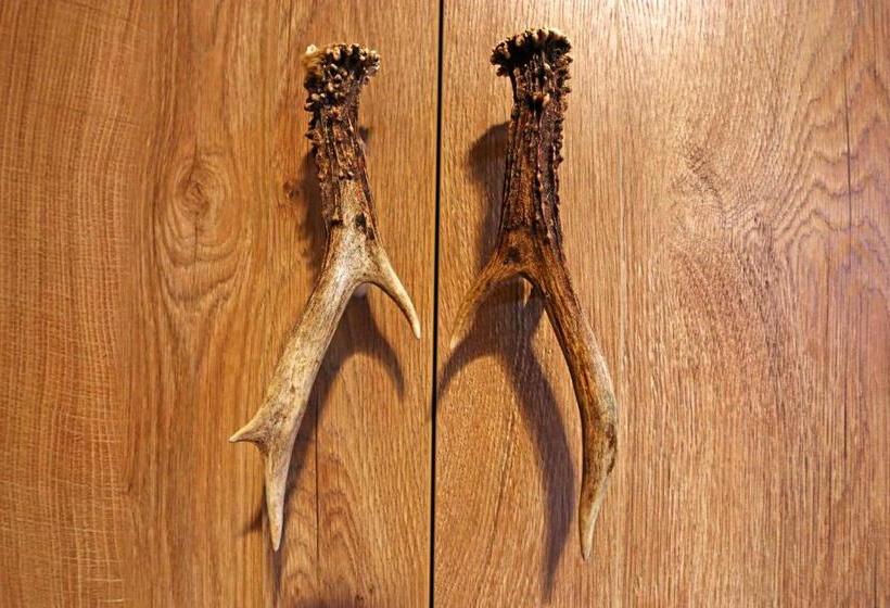 غرفة ديلوكس مزودة بشرفة, Lustiger Hirsch