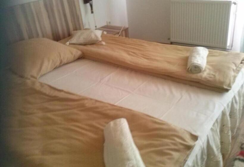 스탠다드 룸, Pensiunea Dorel Codoban