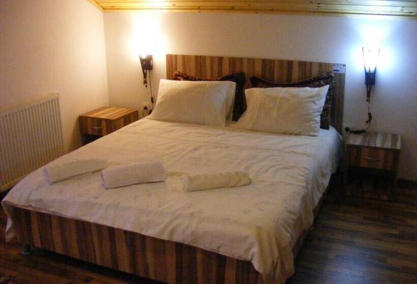 패밀리 룸, Pensiunea Dorel Codoban