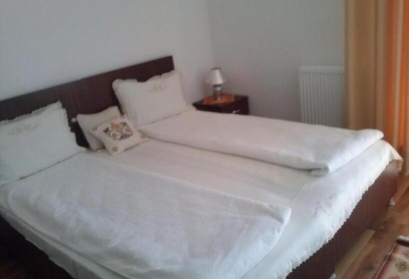 스탠다드 룸, Pensiunea Dorel Codoban