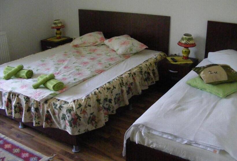 스탠다드 트리플 룸, Pensiunea Dorel Codoban