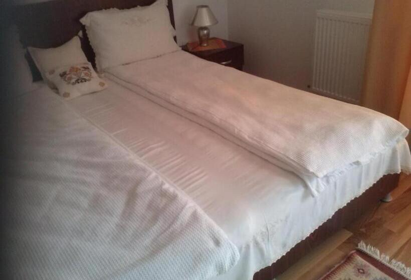 스탠다드 룸, Pensiunea Dorel Codoban