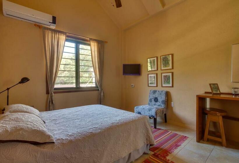 סוויטת סופריור, Bayshore Bijou Suites