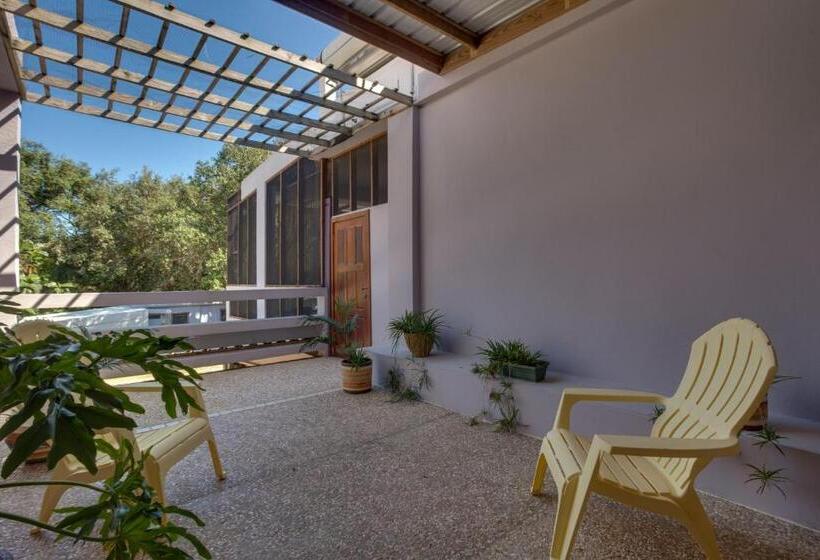 סוויטת סופריור, Bayshore Bijou Suites