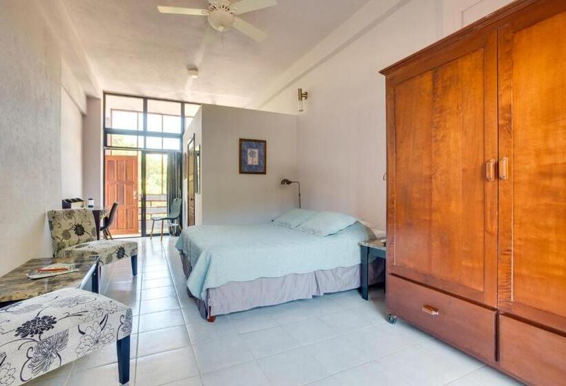 סטודיו סטנדרט נוף לים, Bayshore Bijou Suites