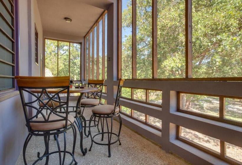 דירת חדר דלוקס, Bayshore Bijou Suites