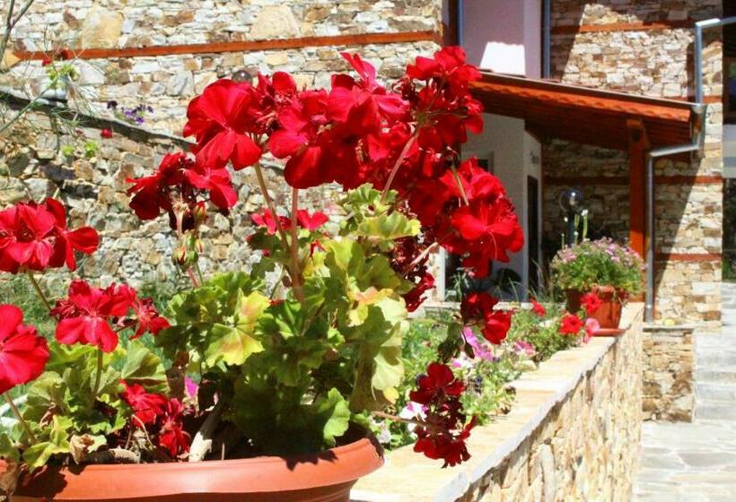 バルコニー付きスタンダードルーム, Guesthouses Prav Kamen