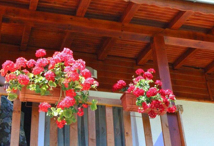 バルコニー付きスタンダードルーム, Guesthouses Prav Kamen