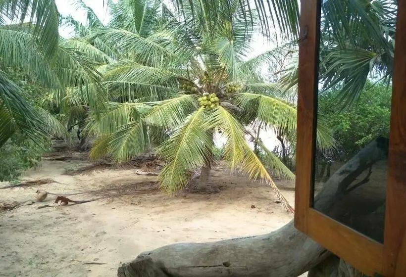 エコノミールーム, Light House Beach Hut