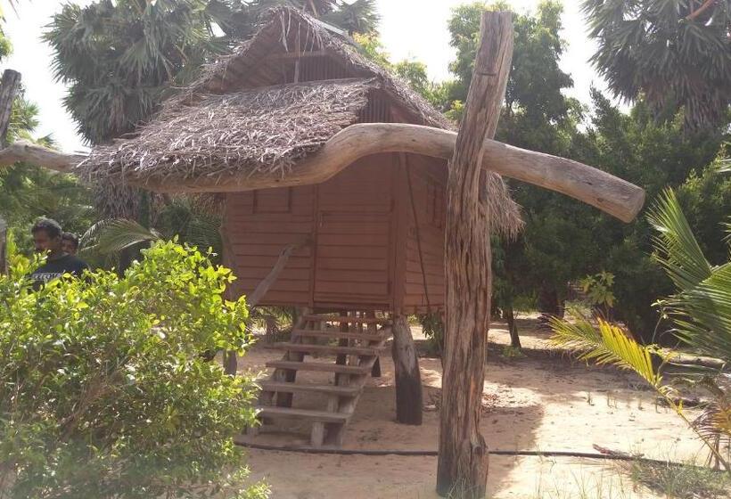 이코노미 싱글 룸, Light House Beach Hut