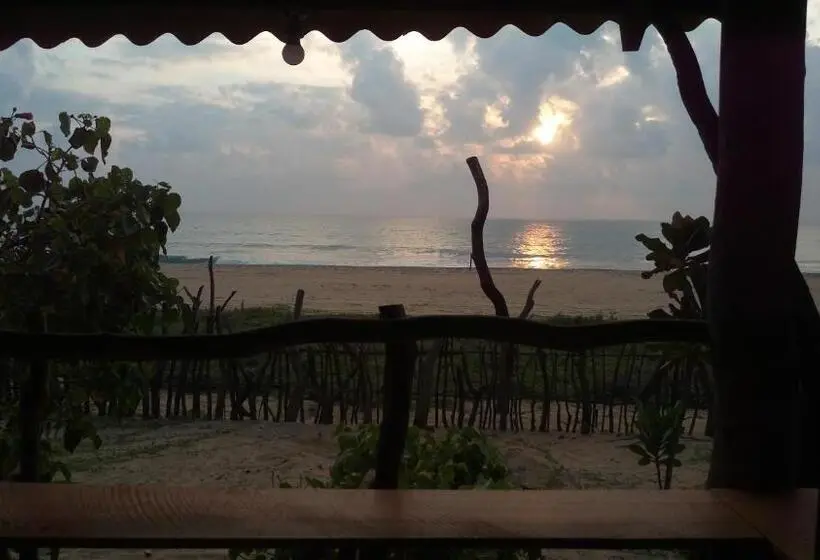 スタンダードシングルルーム, Light House Beach Hut