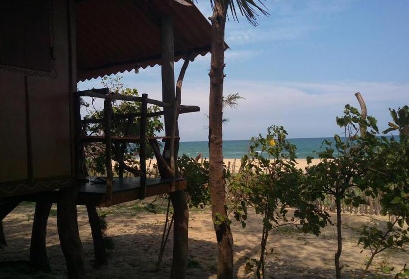 스탠다드 싱글 룸, Light House Beach Hut