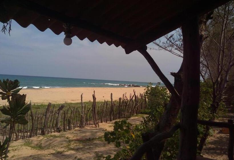 스탠다드 싱글 룸, Light House Beach Hut