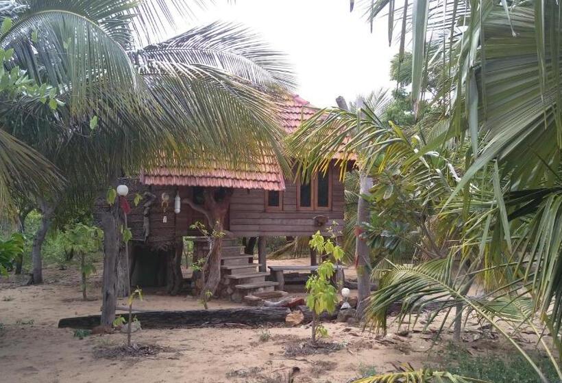 Номер Стандарт, Light House Beach Hut