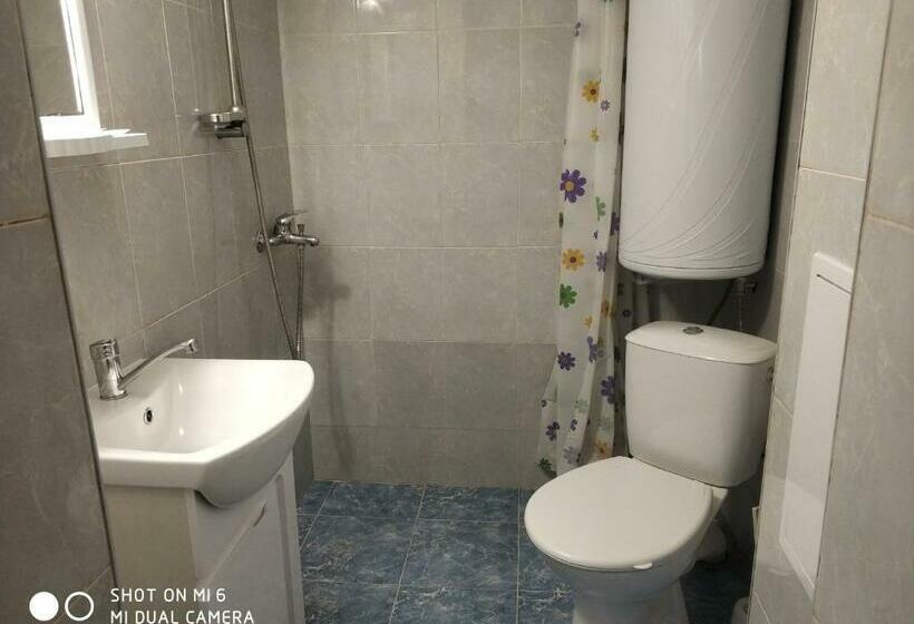 غرفة قياسية رباعية, Papanovata House