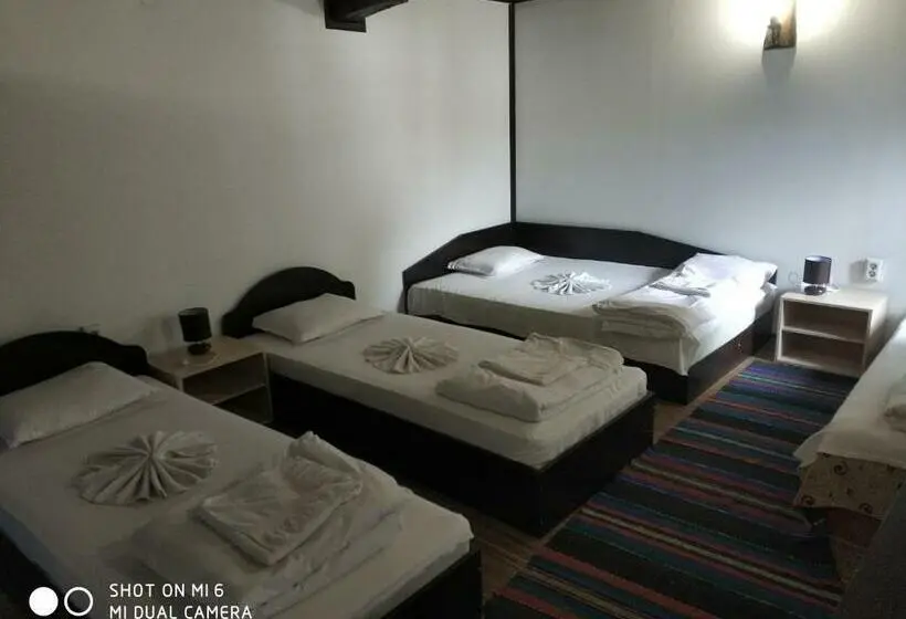 スタンダード４人部屋, Papanovata House