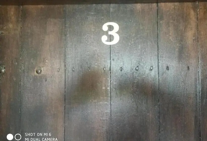 スタンダード４人部屋, Papanovata House