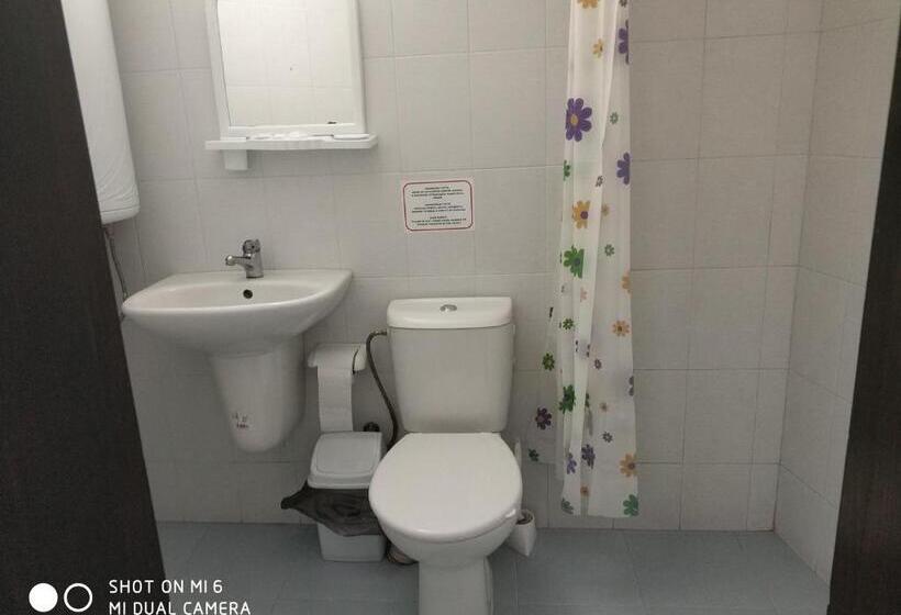 スタンダードトリプルルーム, Papanovata House