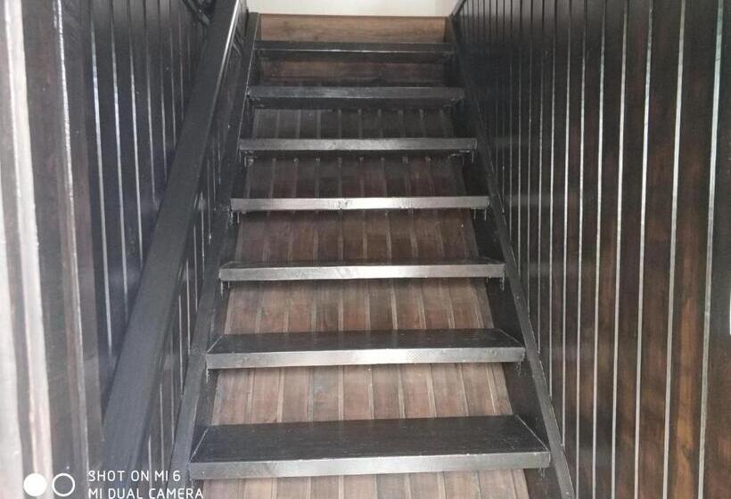 جناح, Papanovata House