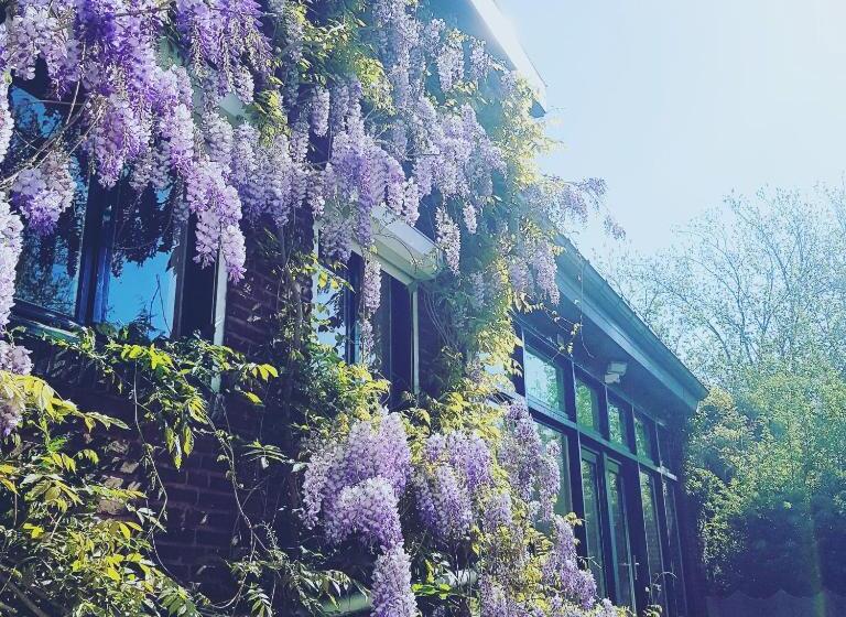 스탠다드 룸, Vakantiewoning Guesthouse Momo