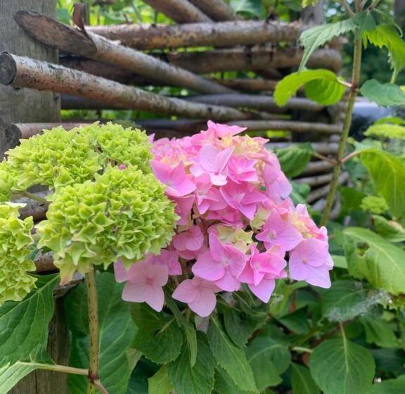 스탠다드 룸, Vakantiewoning Guesthouse Momo