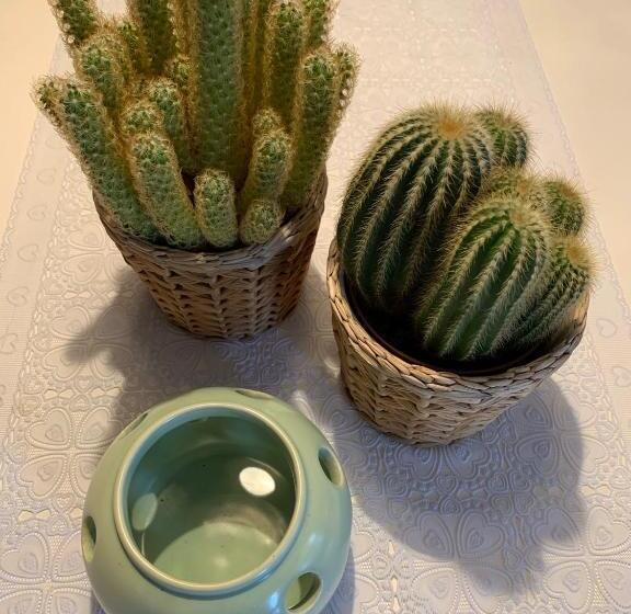 스탠다드 룸 킹사이즈 침대, Vakantiewoning Guesthouse Momo