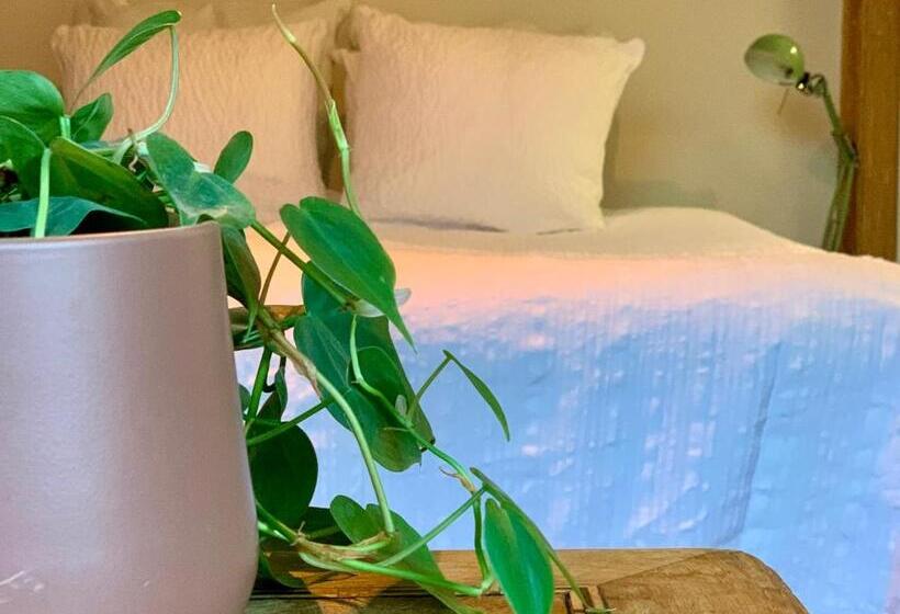 스탠다드 룸 킹사이즈 침대, Vakantiewoning Guesthouse Momo