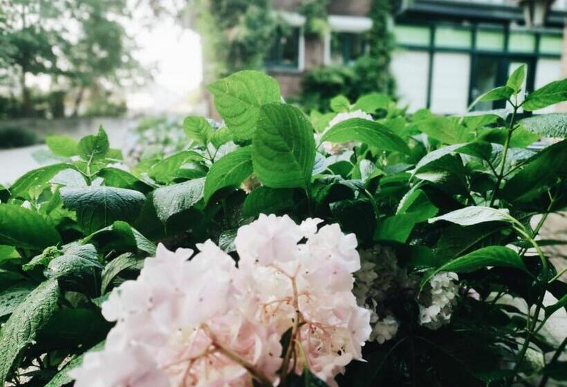 스탠다드 룸 킹사이즈 침대, Vakantiewoning Guesthouse Momo