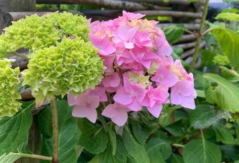 스탠다드 룸 킹사이즈 침대, Vakantiewoning Guesthouse Momo