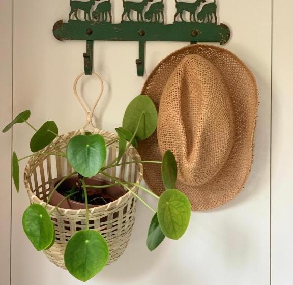 스탠다드 룸, Vakantiewoning Guesthouse Momo