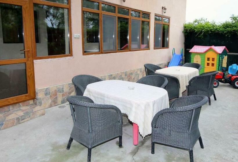 غرفة قياسية, Pensiunea Lokanta