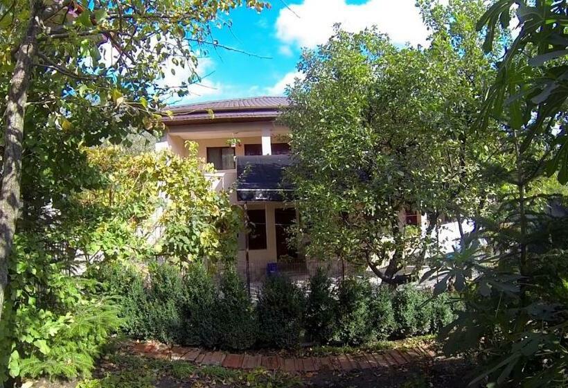 غرفة قياسية, Pensiunea Lokanta