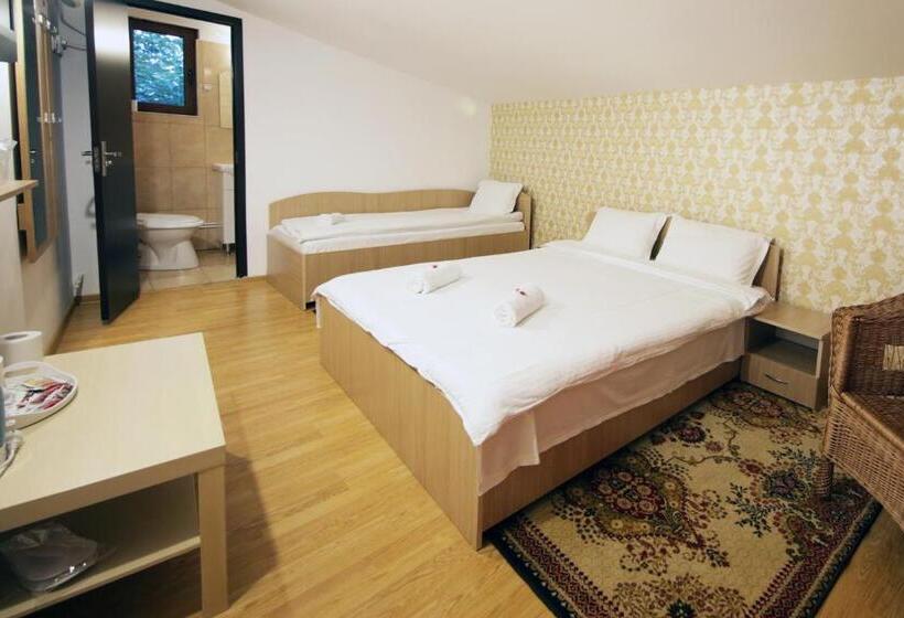 غرفة كومفورت ثلاثية, Pensiunea Lokanta