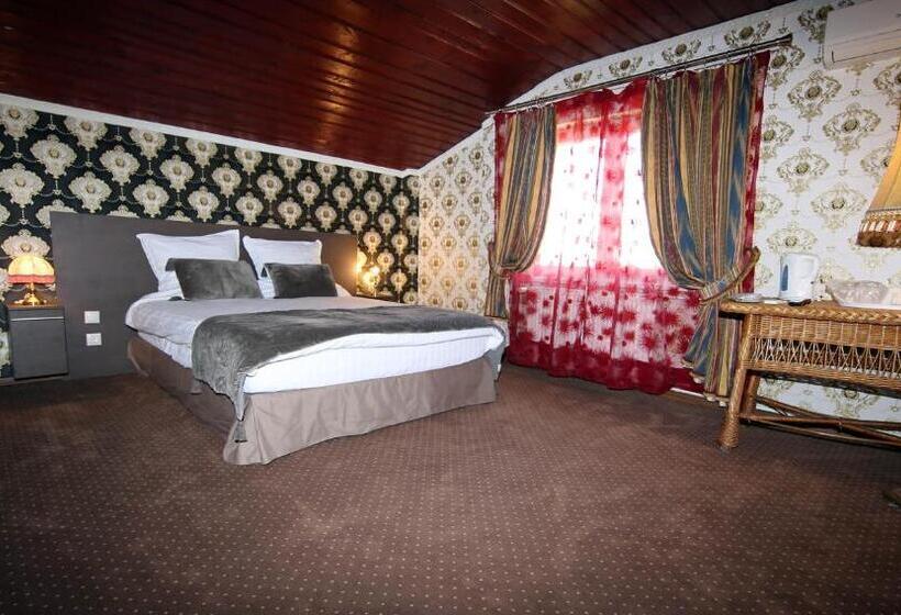 غرفة قياسية, Pensiunea Lokanta