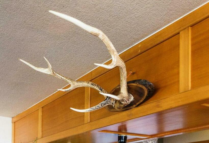 חדר סטנדרט לשלושה, Minshuku Nihonkai