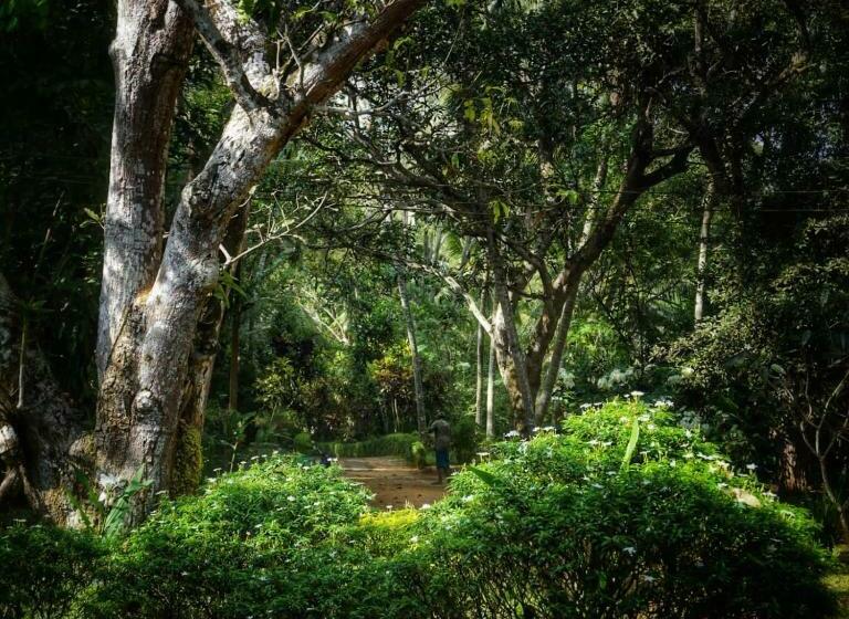 プールビュースタンダードルーム, Sri Mathie Historic Estate