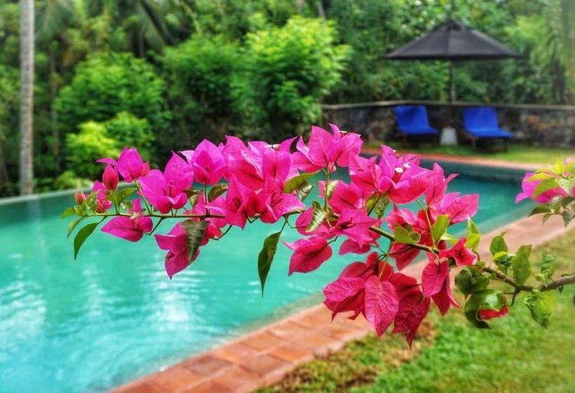 キャビン, Sri Mathie Historic Estate