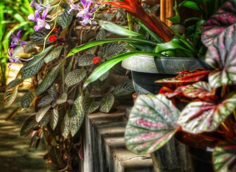 スタンダードバンガロー, Sri Mathie Historic Estate