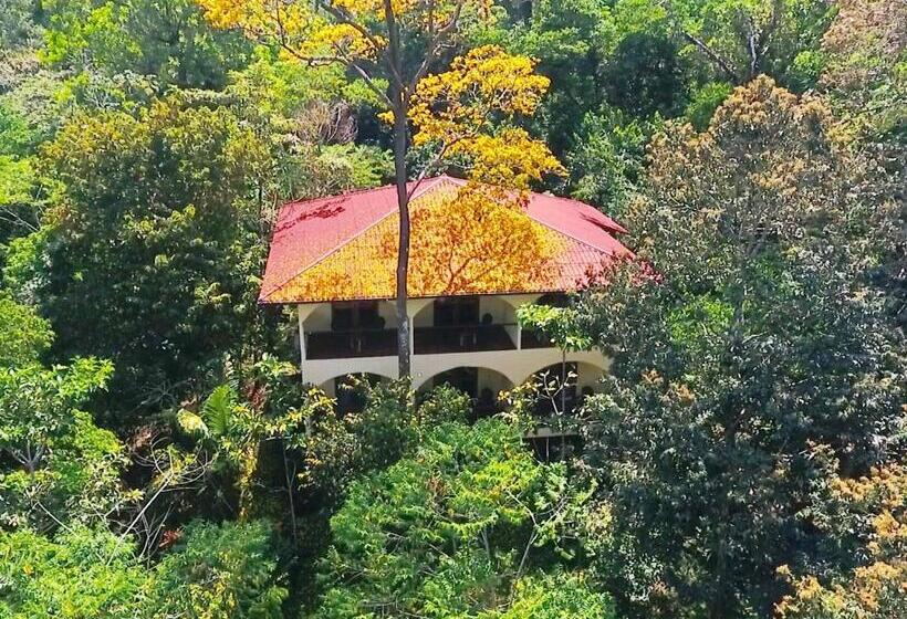 带大床的标准间, Morrillo Beach Eco Resort